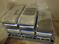 Trays of seeds experiencing simulated winter in a cooler.